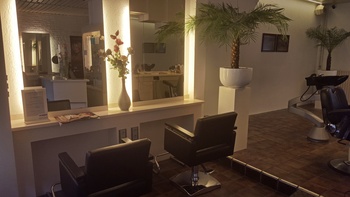 Koziol Haarstudio, Breda