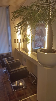 Koziol Haarstudio, Breda